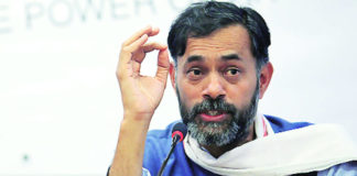 यादव