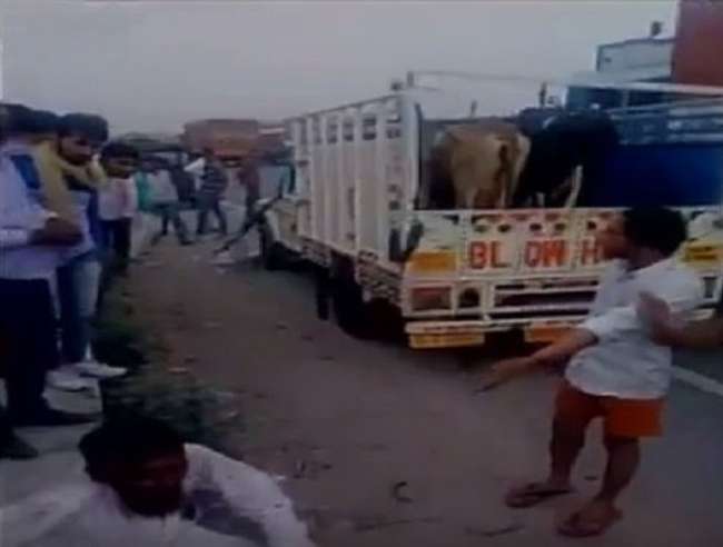 गौरक्षक