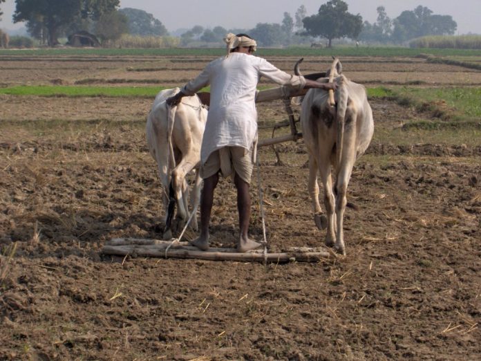 खुदकुशी