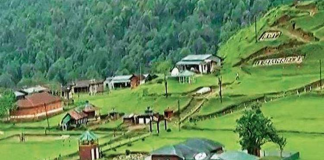 चीनी