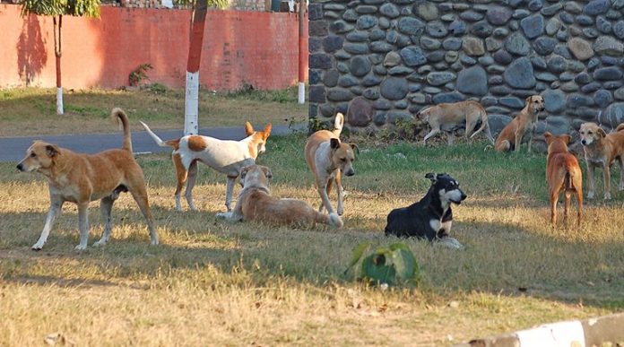 सहारनपुर