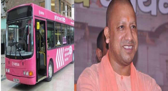 yogi pink bus