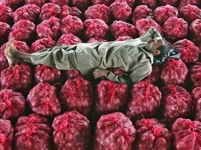 Onion
